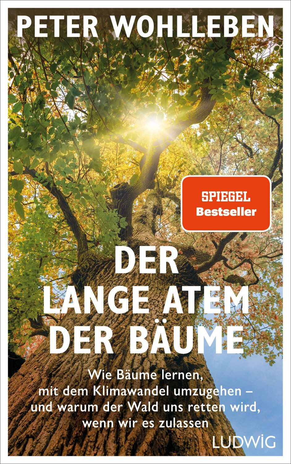 Sachbuch Der lange Atem der Bäume Wie Bäume lernen, mit dem Klimawandel umzugeh Peter Wohlleben