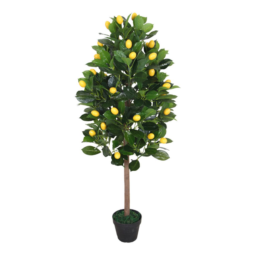Kunstbaum SMARAGDLINE künstliche Bäume in verschiedenen günstig online kaufen