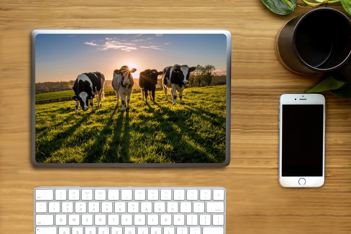 Thumbnail - MuchoWow Laptop-Aufkleber Kühe - Sonne - Gras - Tiere - Bauernhof