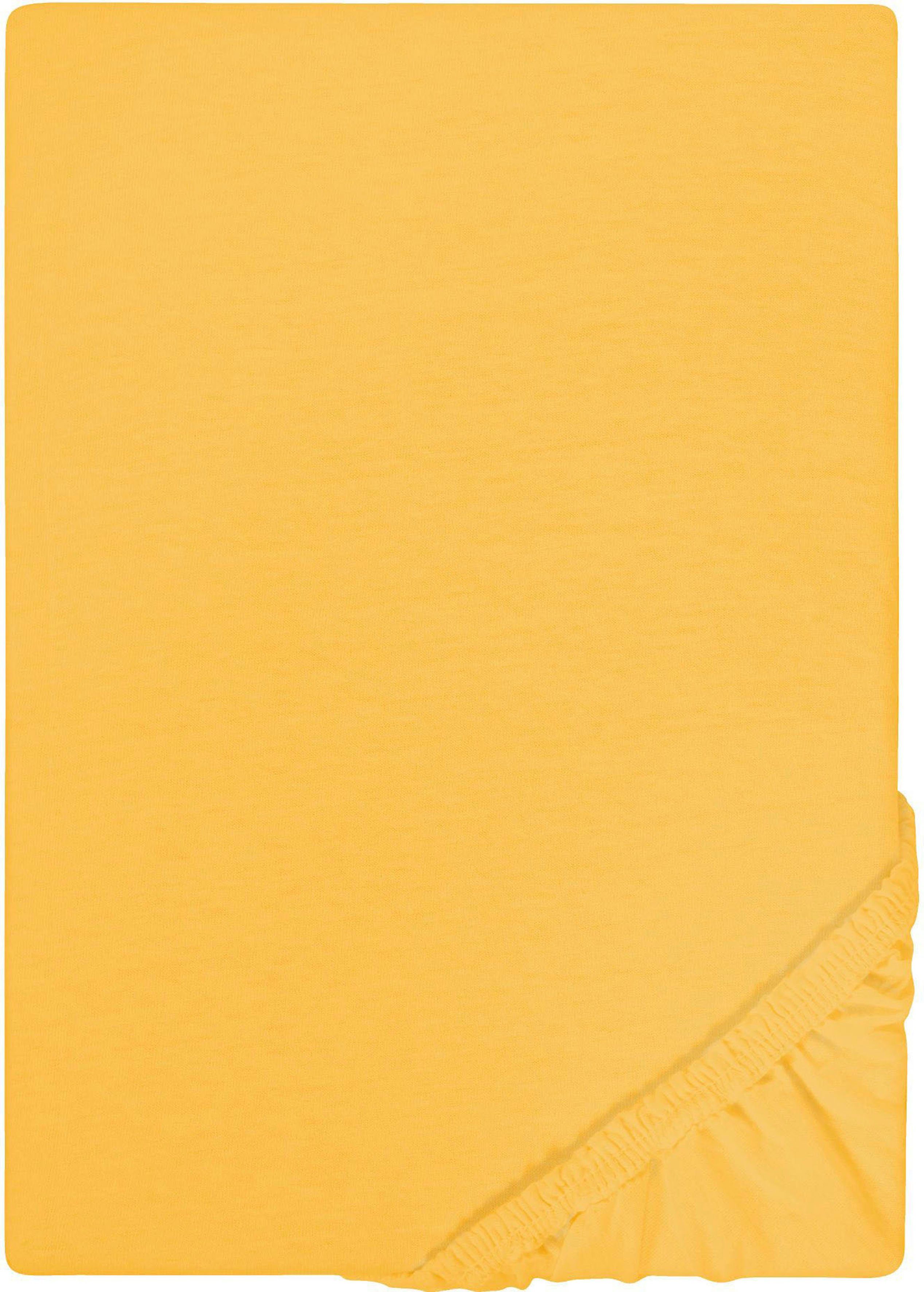 Castell - Markenbettwäsche Spannbettlaken Jersey in günstig online kaufen