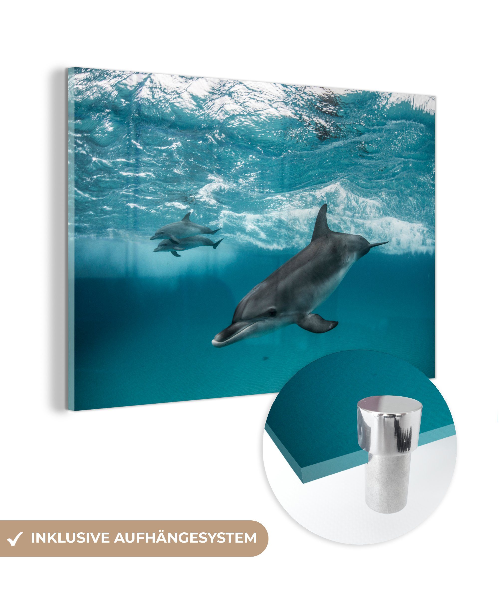 MuchoWow Acrylglasbild Delfin - Wasser - Meer, (1 St), Acrylglasbilder Wohnzimmer & Schlafzimmer | Bilder