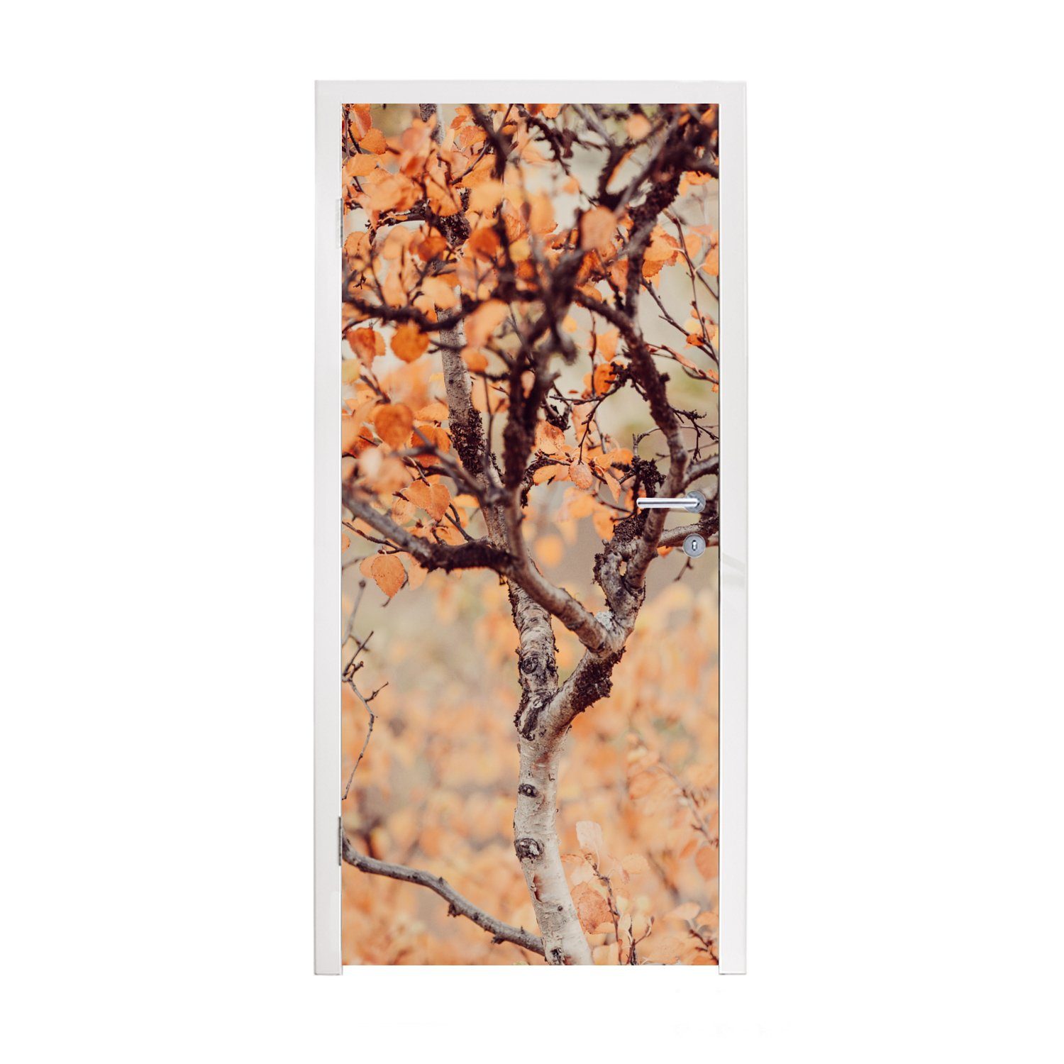 MuchoWow Türtapete Herbst (1 - Blätter, Türaufkleber, Äste Matt, - St), Tür, bedruckt, für Fototapete 75x205 cm