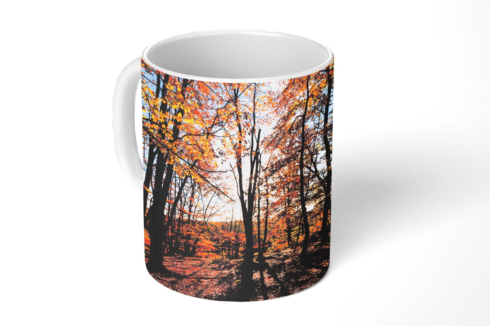 MuchoWow Tasse Herbstfarben in den Wäldern des Nationalparks Söderåsen in Schweden, Keramik, Kaffeetassen, Teetasse, Becher, Teetasse, Geschenk