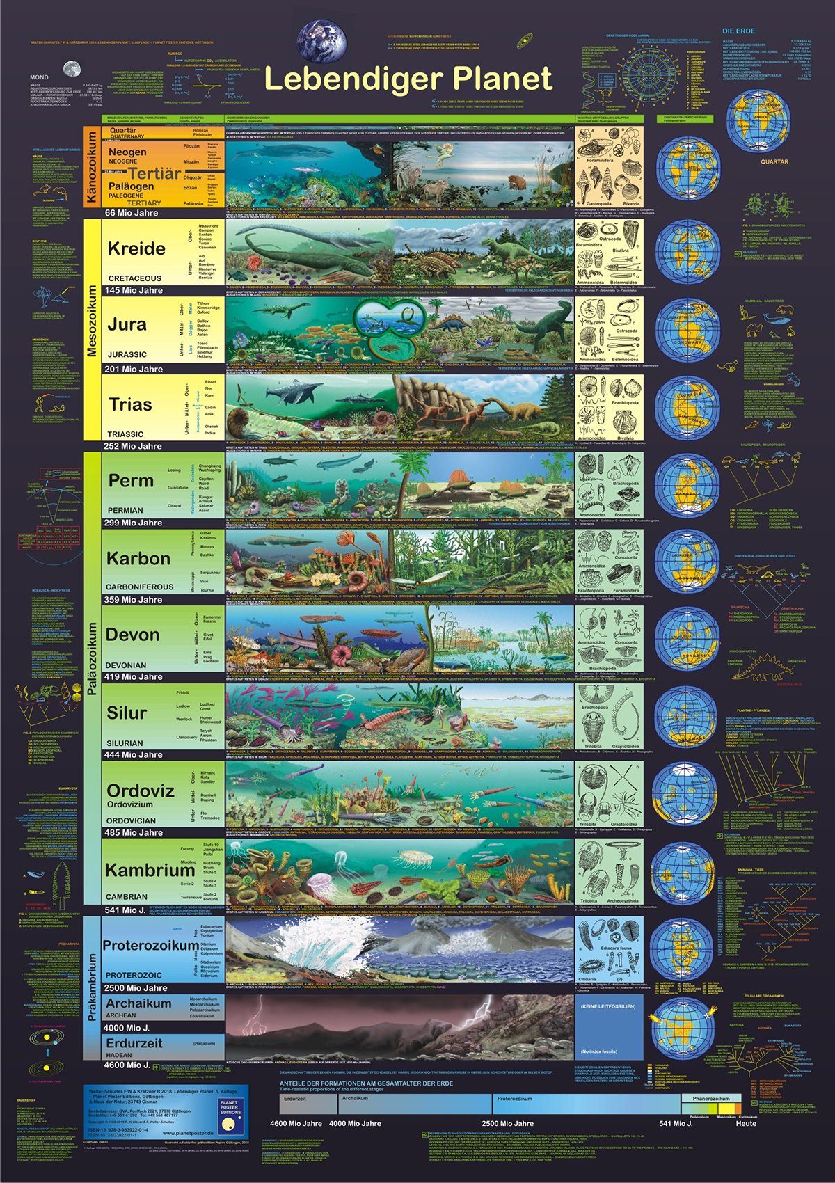 Close Up Poster Lebendiger Planet Poster deutsch DIN A1 59,4 x 84,1 cm