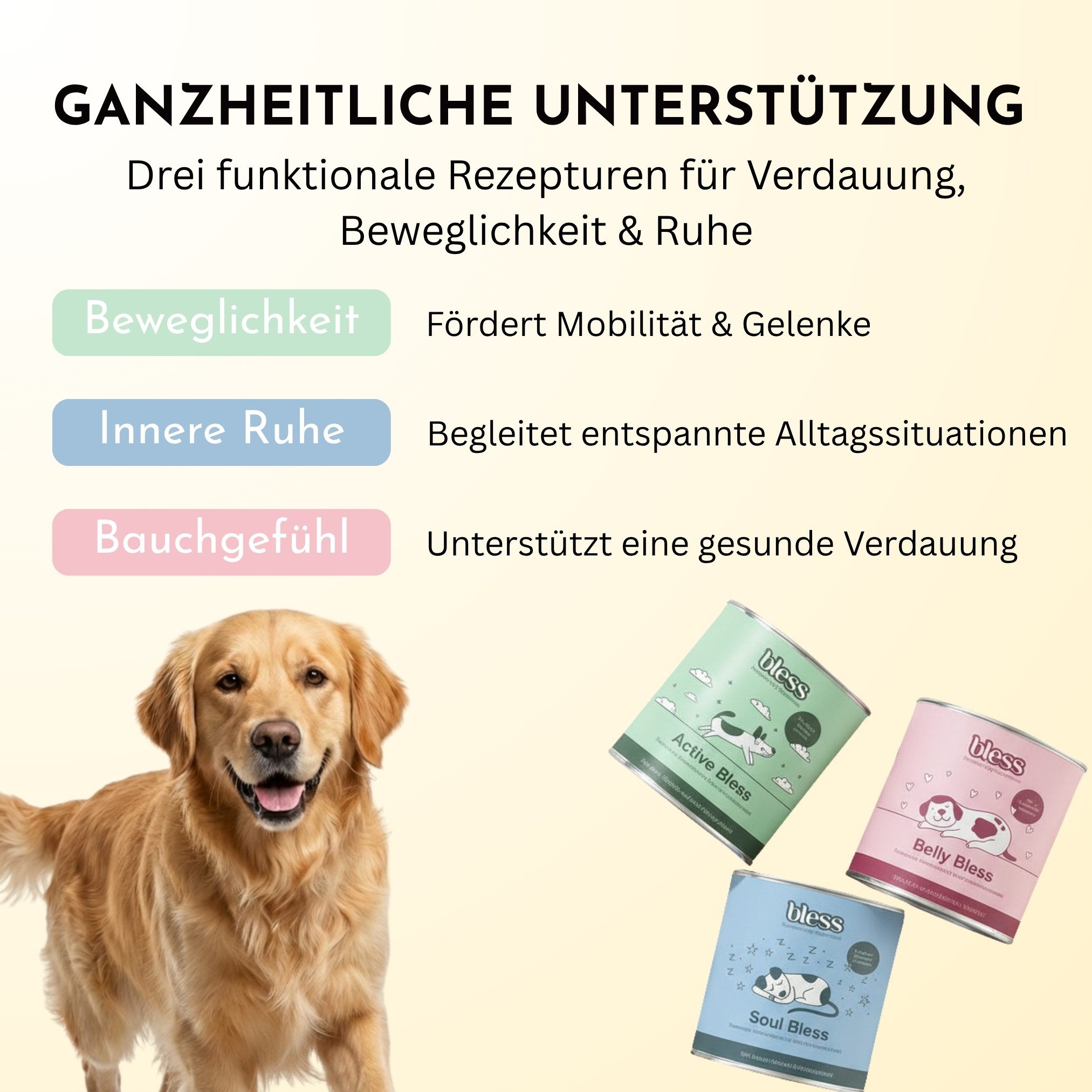 Bless Complete Care Bundle – Rundum-Konzept für Hunde, Nahrungsergänzungsmittel für: Hunde, mit Insektenprotein (allergikerfreundlich)