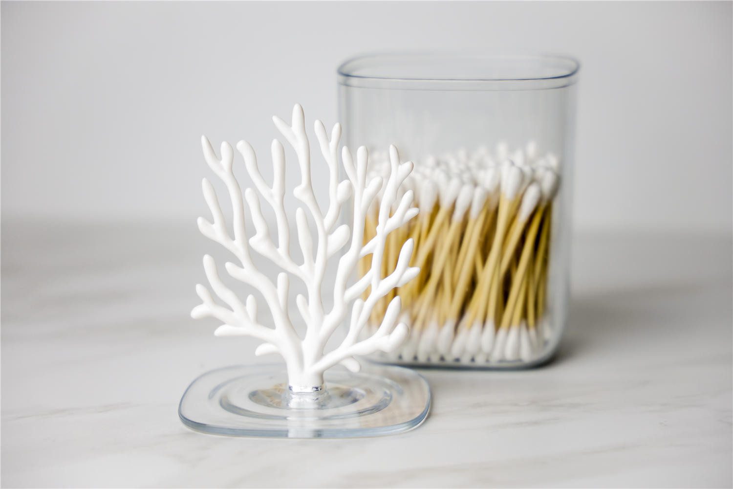 Qualy Design Aufbewahrungsdose Coral Koralle (transparent, mit Deckel, 1 St., Kunststoff Box), Behälter ca. 9 x 9 x 11 cm, Koralle ca. 10 cm hoch