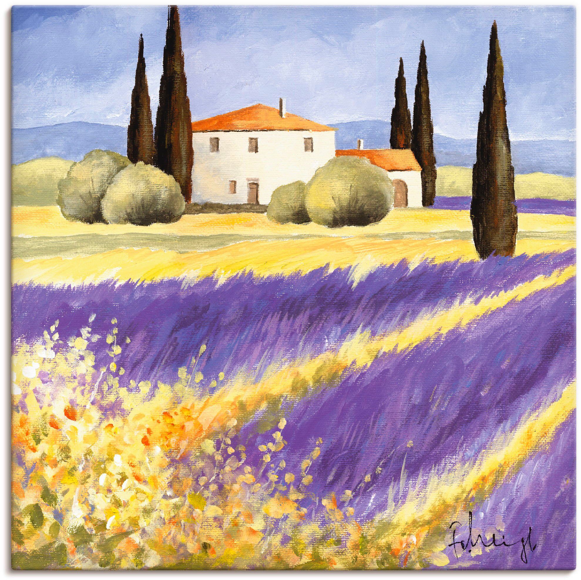 Artland Wandbild Licht der Provence, Felder (1 St), als Leinwandbild, Wandaufkleber oder Poster in versch. Größen