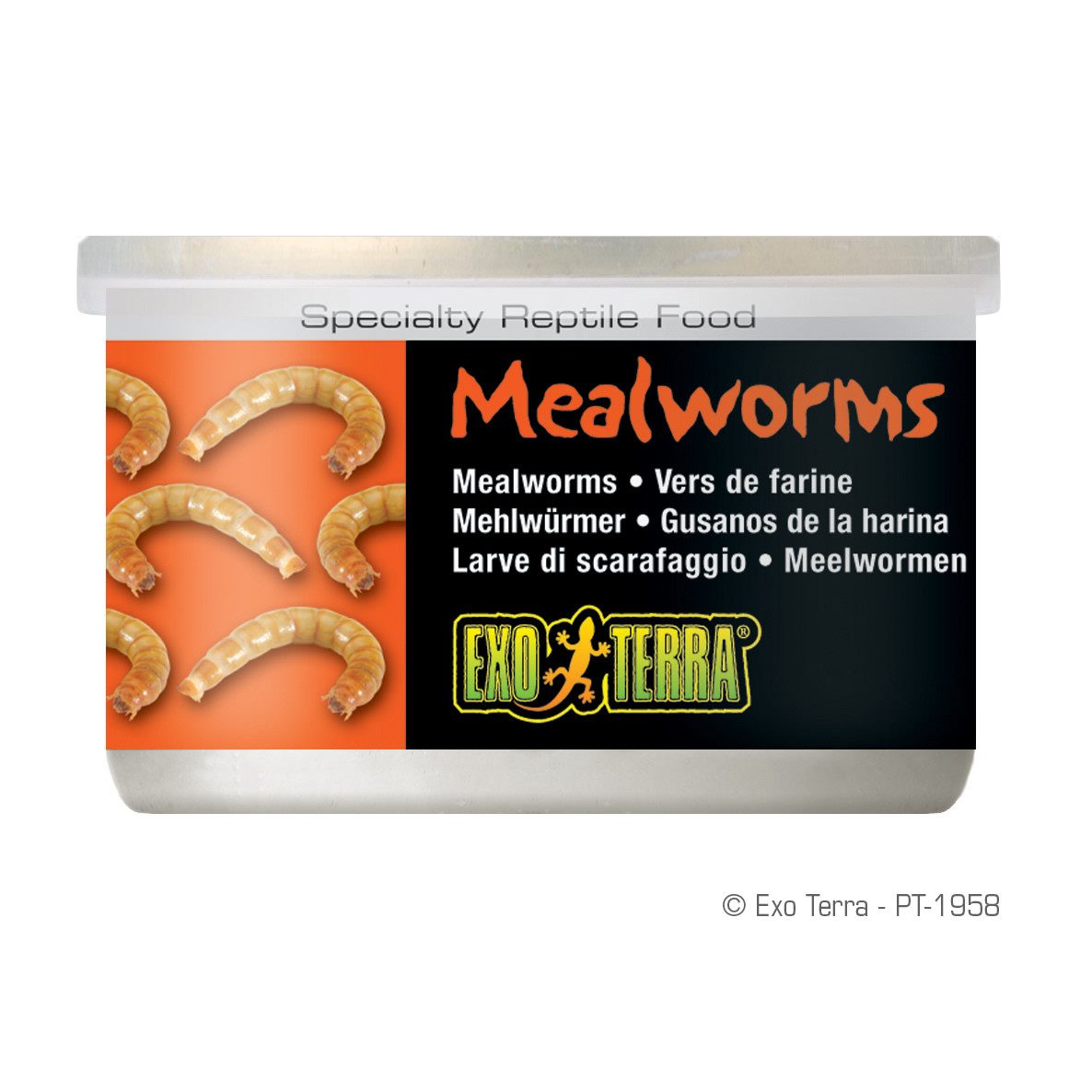 Exo Terra Mealworms Dosenfutter (Mehlwürmer) 34 g, Trockenfutter für: Reptilien