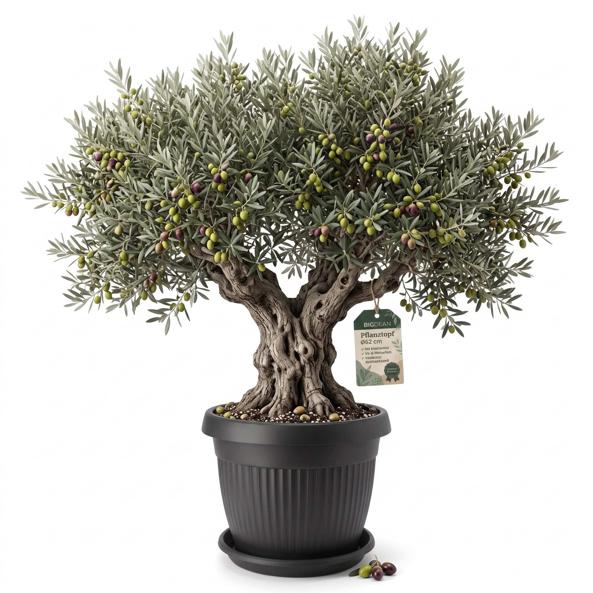 BigDean Blumentopf Pflanzkübel groß ø62cm Anthrazit rund mit Untersetzer wetterfest (Set, 1 St., Blumentop +Untersetzer), Wasserablauf, UV-beständig, aus bruchsicherem Kunststoff