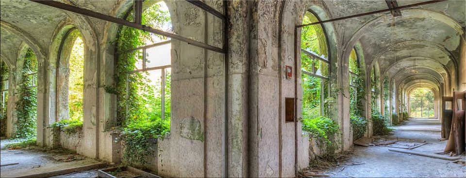 artissimo Glasbild Glasbild 80x30cm Bild aus Glas Lost Places verlassener  Ort grün, Urbex: Ruine
