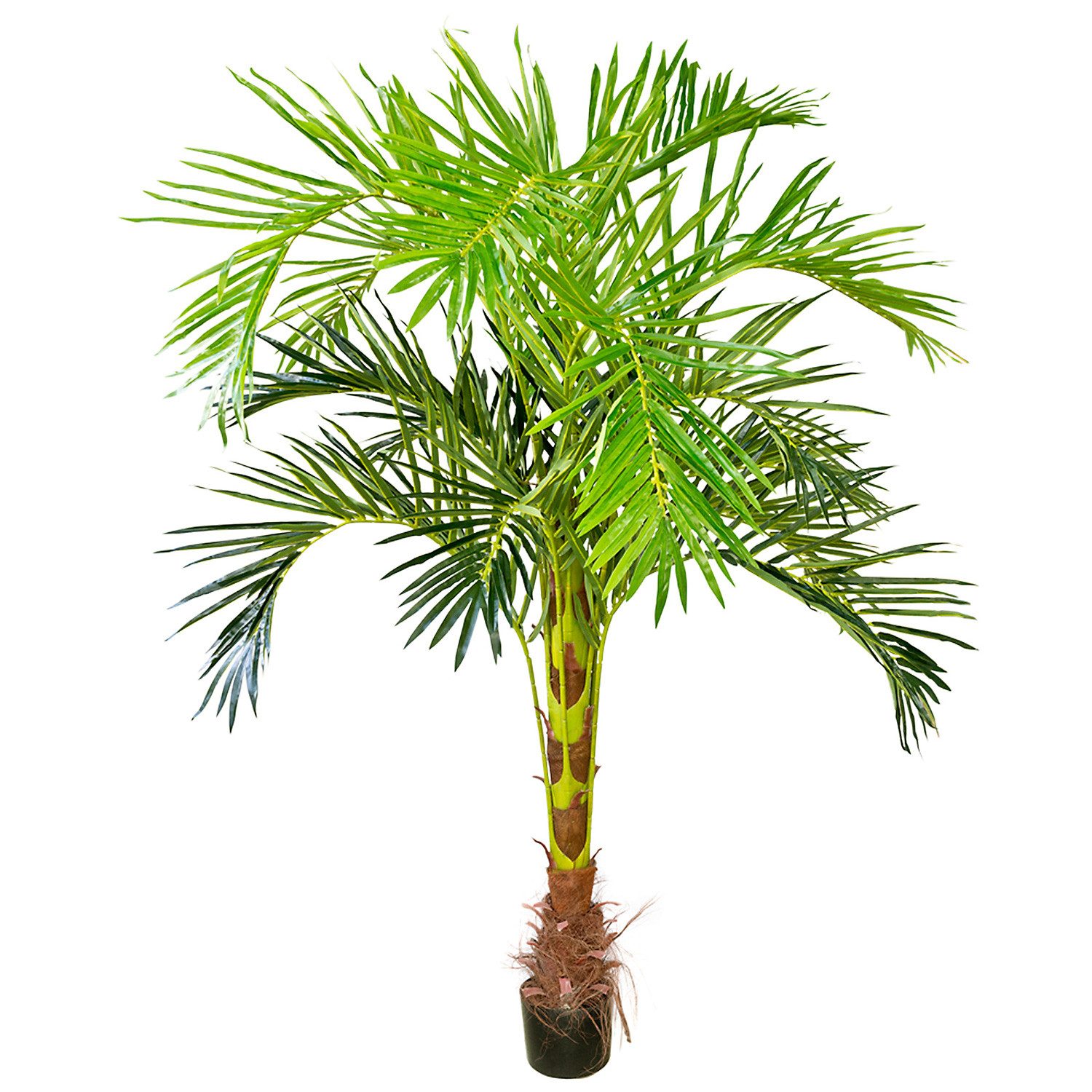 Kunstpalme Künstliche Kunstpalme Palme künstlich Arekapalme Kunstpflanze 180 cm Arekapalme, Decovego, Höhe 180 cm