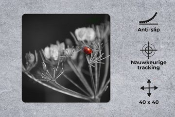 MuchoWow Gaming Mauspad Schwarz-Weiß-Foto eines roten Marienkäfers auf einer Pflanze (1-St), Mousepad mit Rutschfester Unterseite, Gaming, 40x40 cm, XXL, Großes