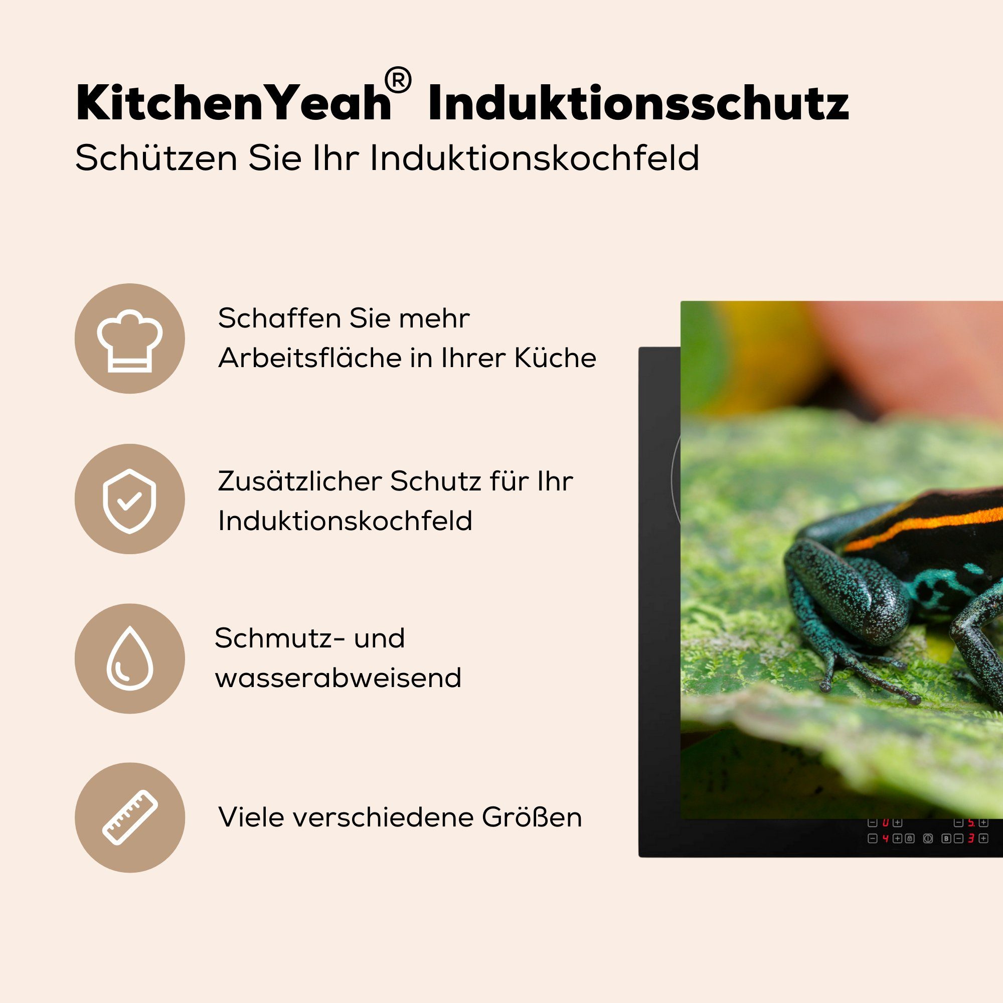 Herdblende-/Abdeckplatte auf küche, cm, Frosch Blatt, MuchoWow tlg), für einem (1 die Schutz Vinyl, Induktionskochfeld Schwarzer Ceranfeldabdeckung 81x52