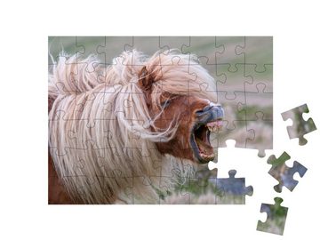 puzzleYOU Puzzle Wieherndes Shetlandpony mit wilder Mähne, 48 Puzzleteile, puzzleYOU-Kollektionen Pferde, 200 Teile, Shetlandpony