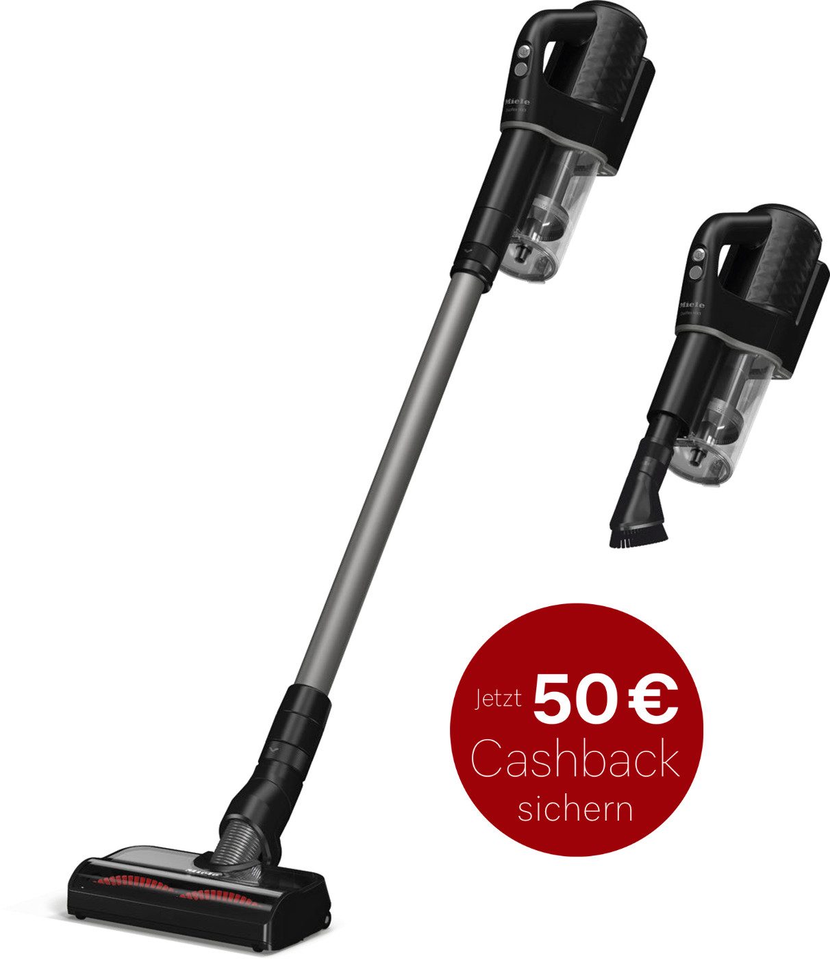 Akku-Handstaubsauger Duoflex HX1 Cat Dog