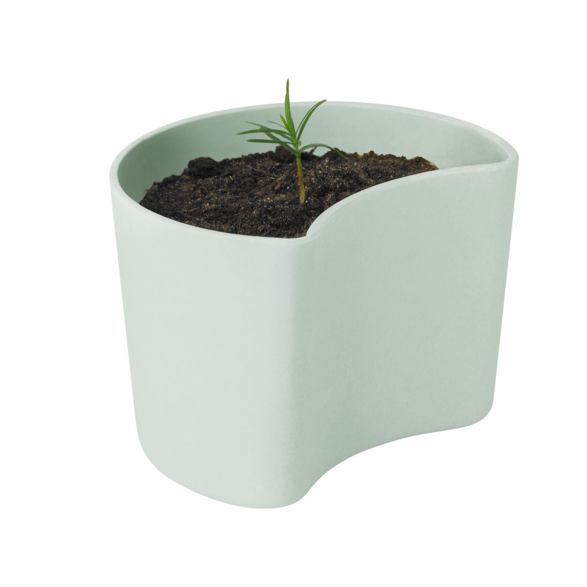 Stelton Blumentopf Pflanztopf, Kiefer