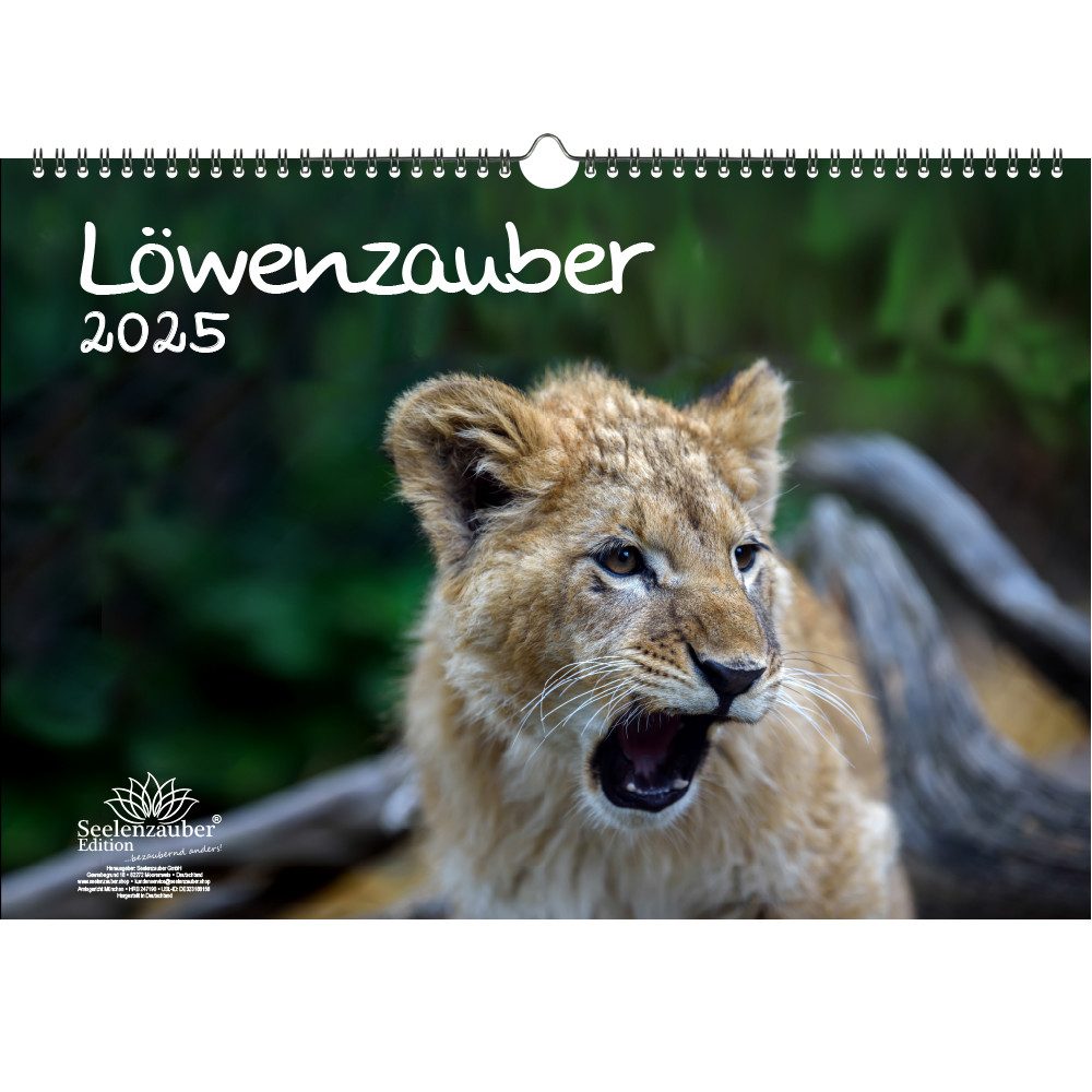 Seelenzauber Wandkalender Löwenzauber DIN A3 Kalender für 2025 Löwen und Löwenbabys