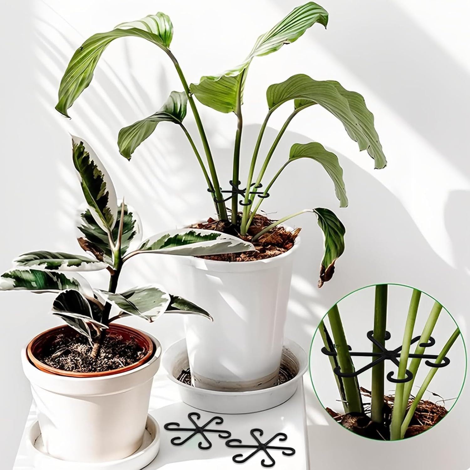 Coonoor Gartenpflege-Set 4 Stück Staudenhalter, Rankhilfe und Pflanzenhalter – Bild 4 von 5