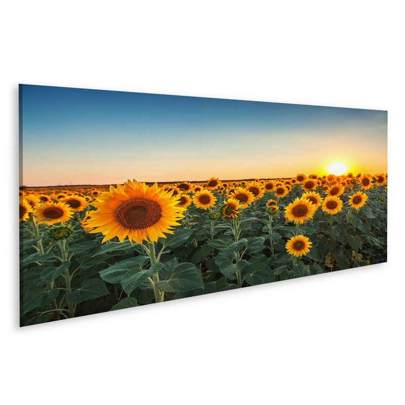 islandburner Leinwandbild Bild auf Leinwand Sonnenblumen Felder Sonnenuntergang Wandbild Poster
