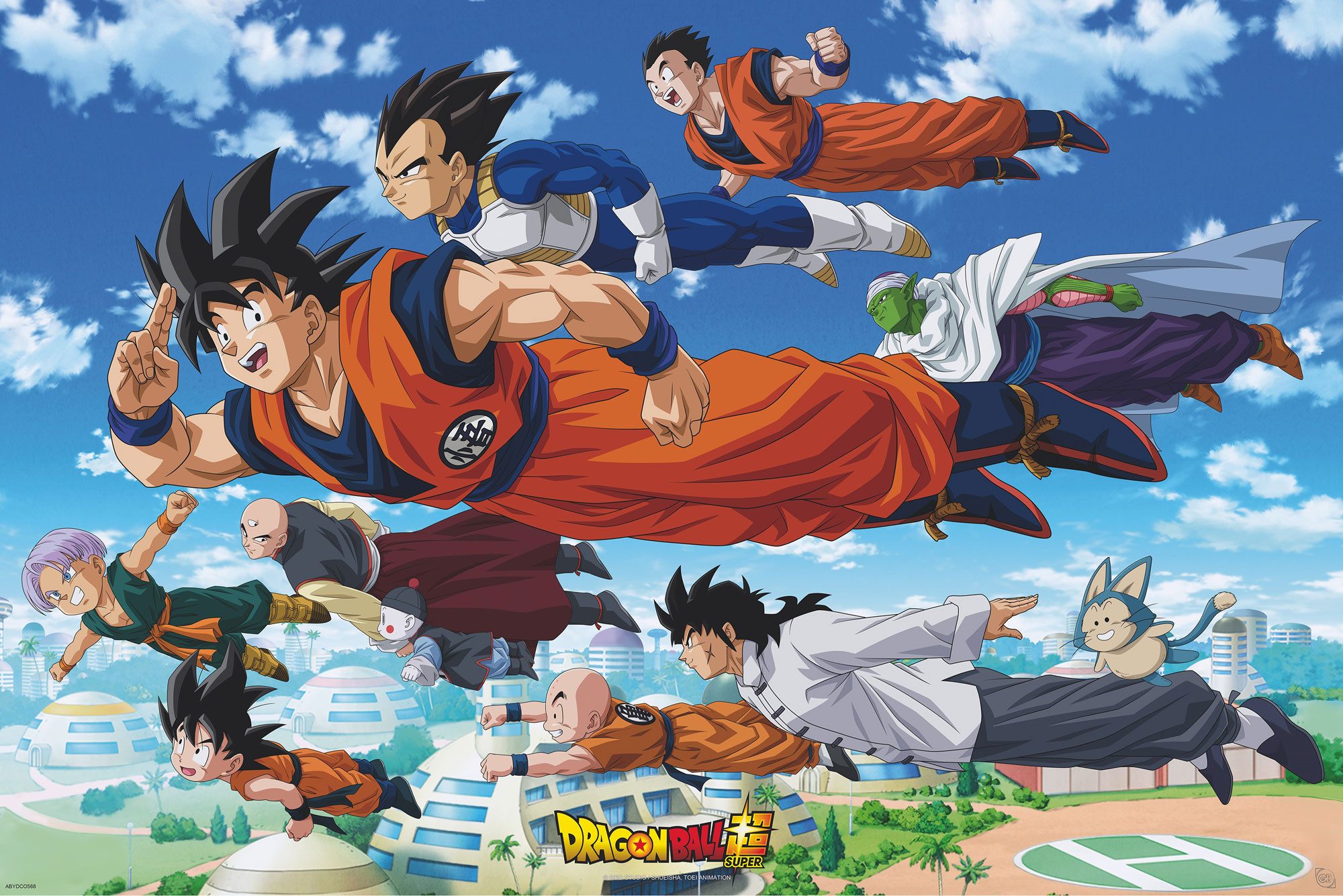 Poster Dragon Ball Super - Poster - Goku´s Group