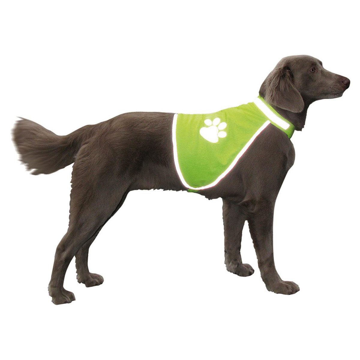 Nobby Hundewarnweste Sicherheitsweste