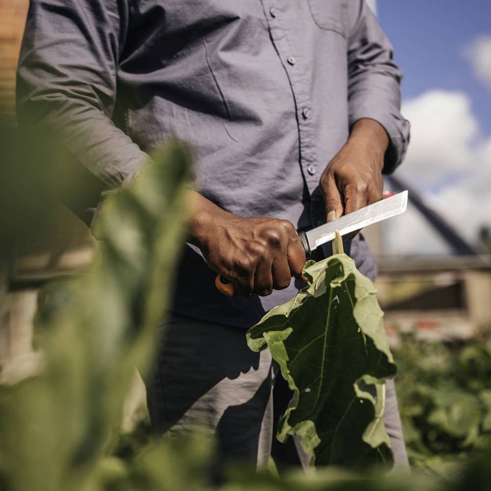 Fiskars Gartenpflege-Set 1062830 Gartenmesser