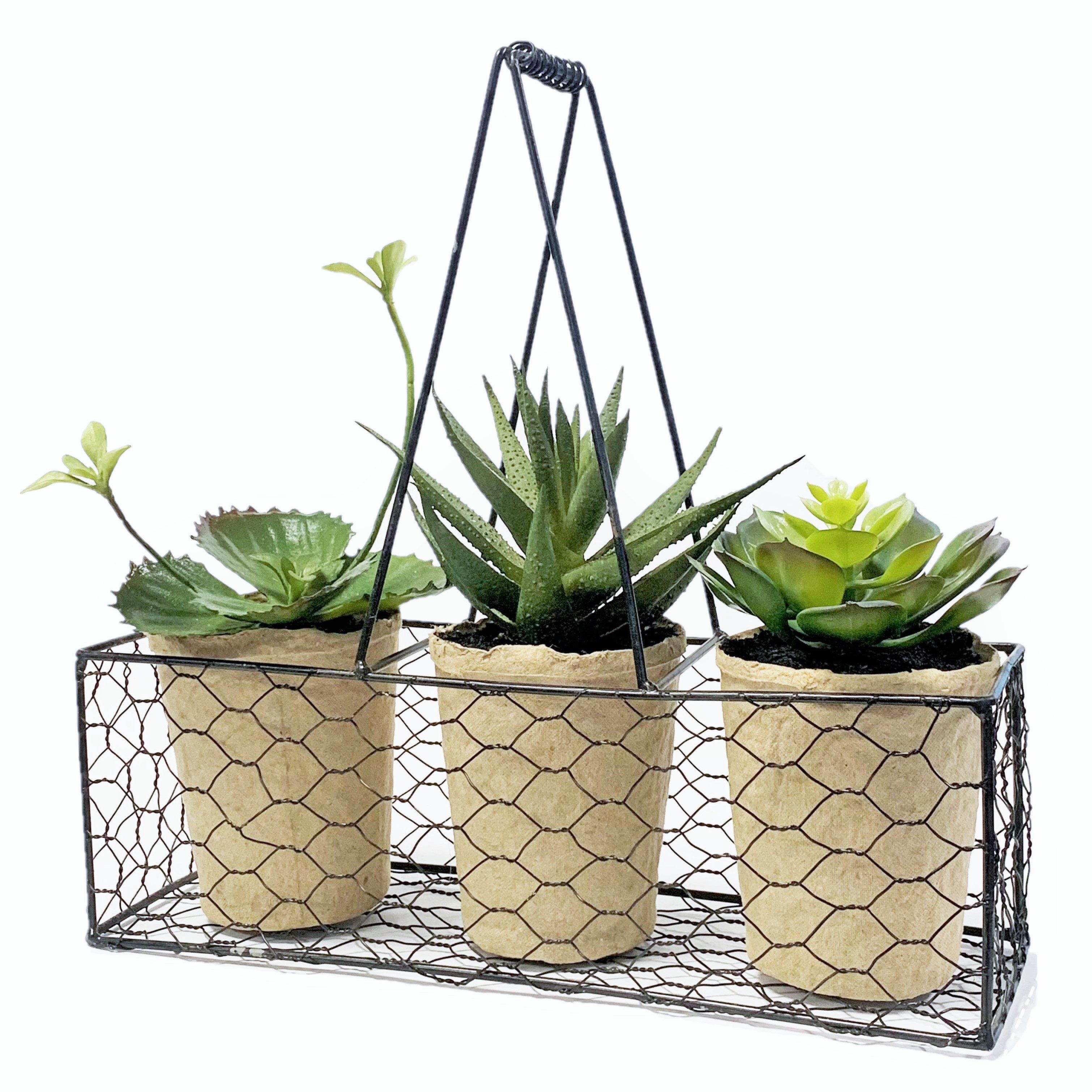 Kunstblume Künstliche Sukkulenten 3er Set. ca 27cm. Kunstpflanzen im Metall günstig online kaufen