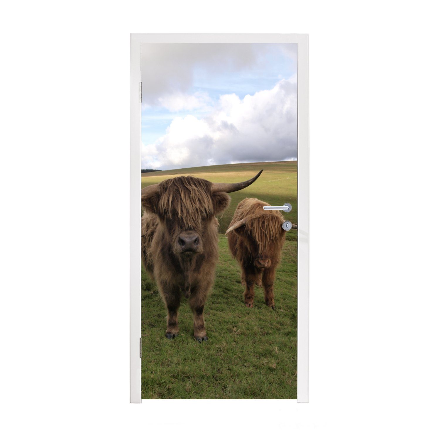 Begrenztes Erscheinungsbild MuchoWow Türtapete (1 Tür, bedruckt, Fototapete Kühe Türaufkleber, Natur, 75x205 Highlander St), für Schottische cm - - Matt