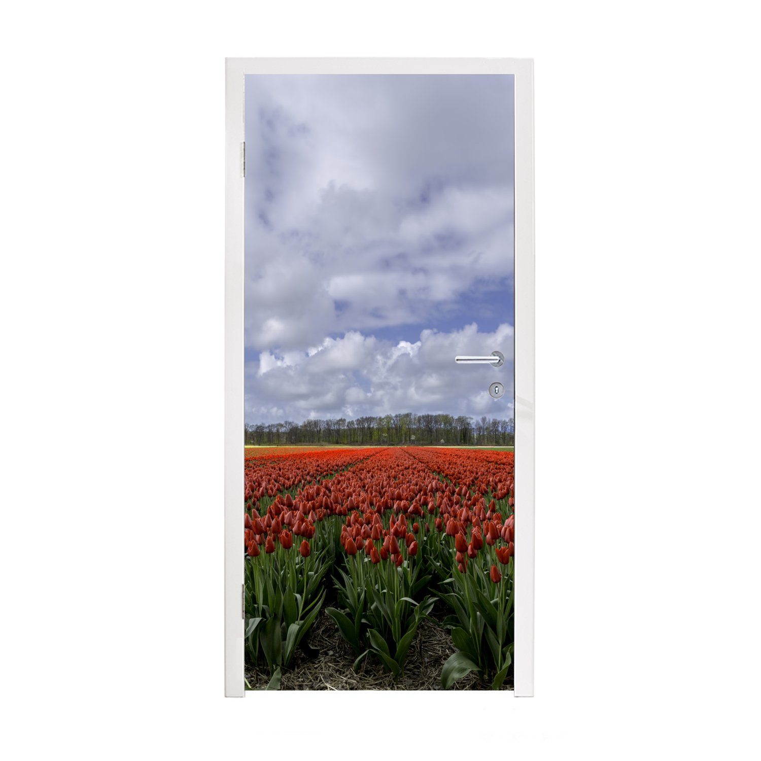MuchoWow Türtapete Rote Tulpen auf dem Keukenhof in Südholland, Matt, bedruckt, (1 St), Fototapete für Tür, Türaufkleber, 75x205 cm