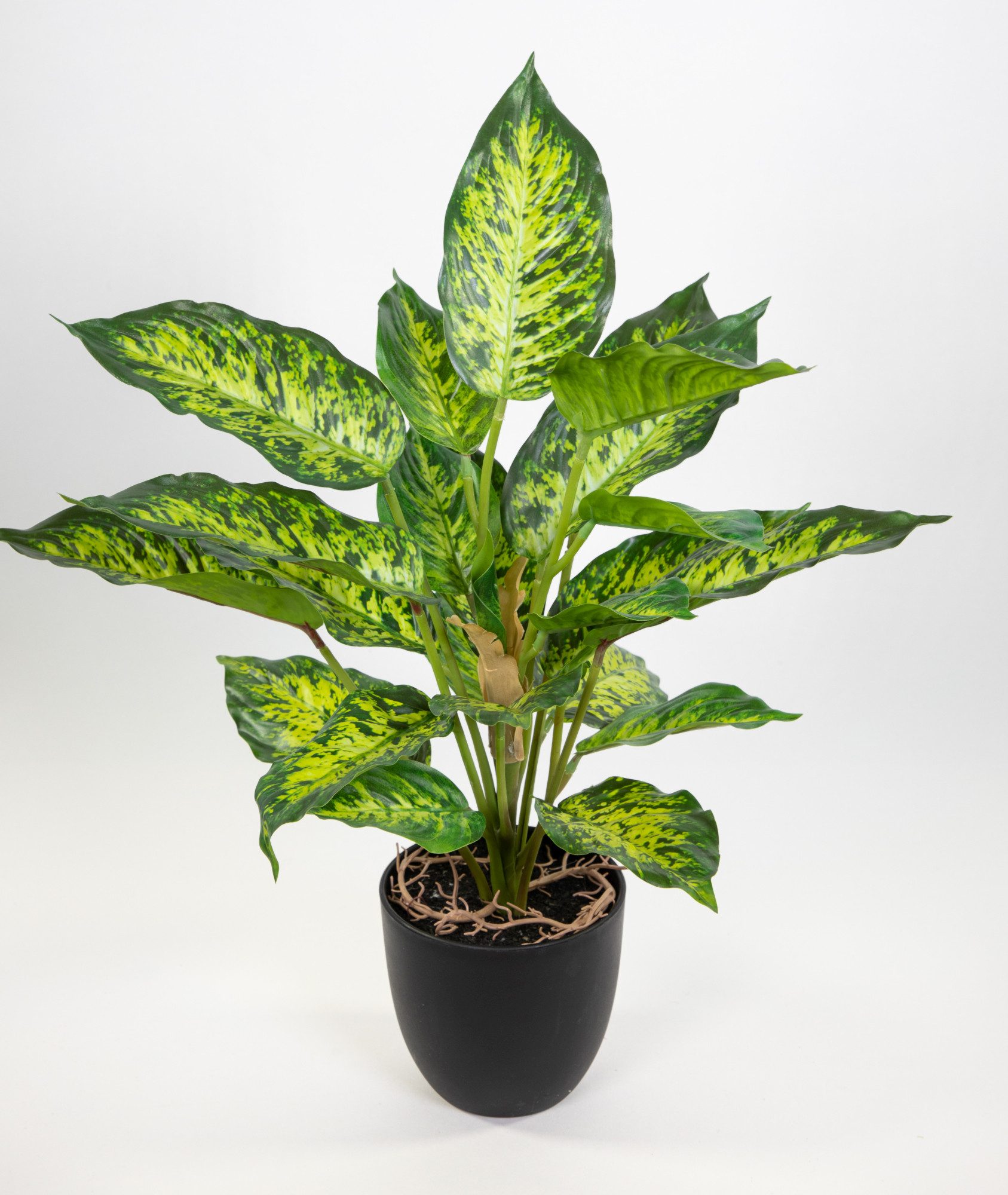 Kunstpflanze Dieffenbachia 50cm grün-gelb im Topf ZF Kunstblume künstliche günstig online kaufen