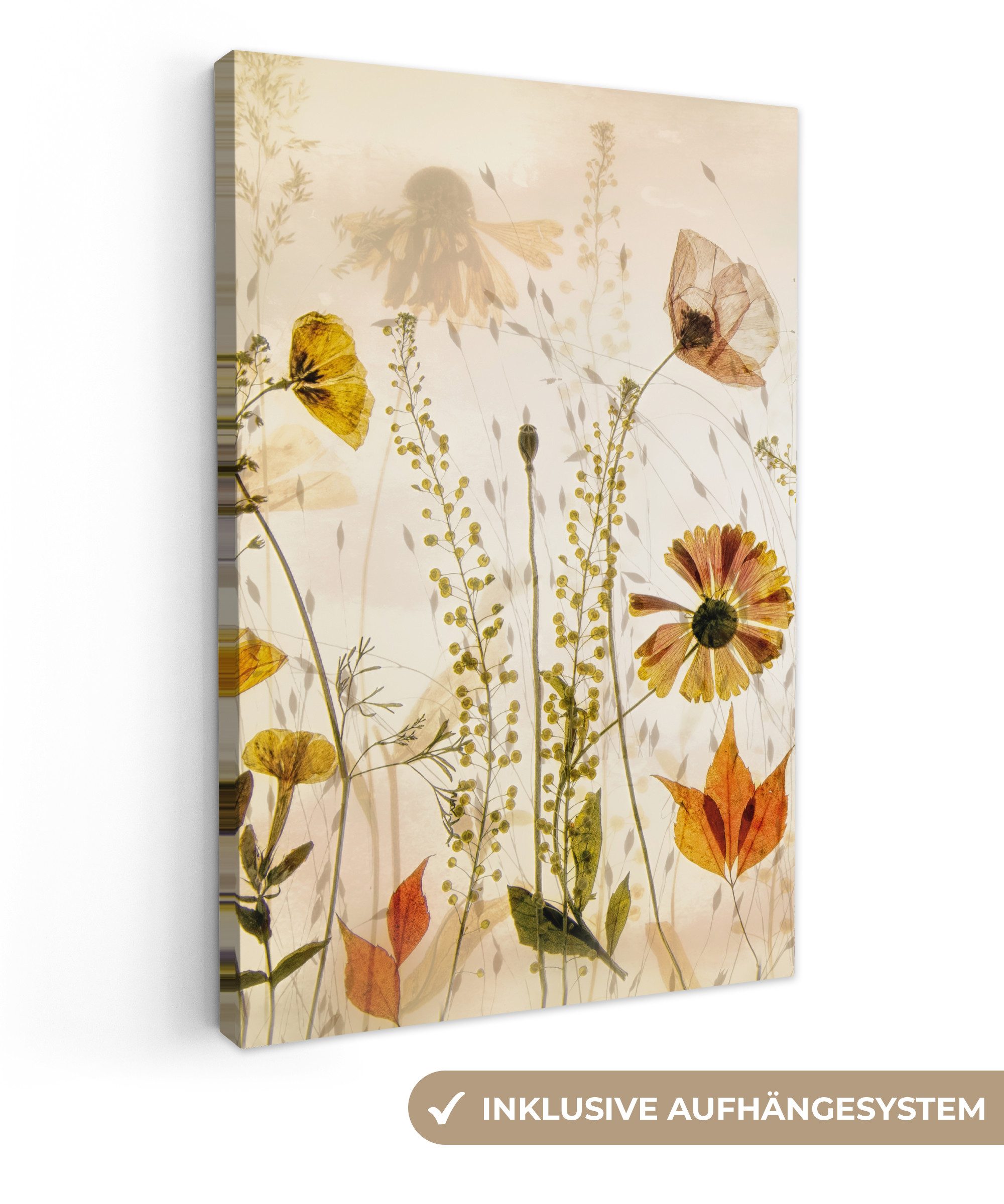 OneMillionCanvasses® Leinwandbild Illustration - Pflanzen - Insekten - Beige, Fotodruck (1 St), Leinwand Canvas Wandbild, Wanddekoration 20x30 cm