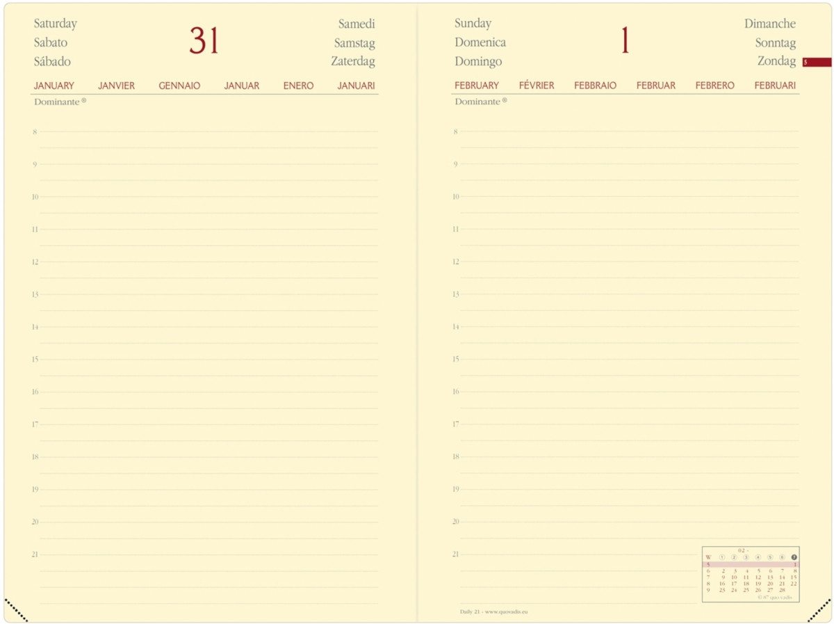 Thumbnail - Quo Vadis Buchkalender Buchkalender Daily 21 13x21cm Silk wassergrün 2026.