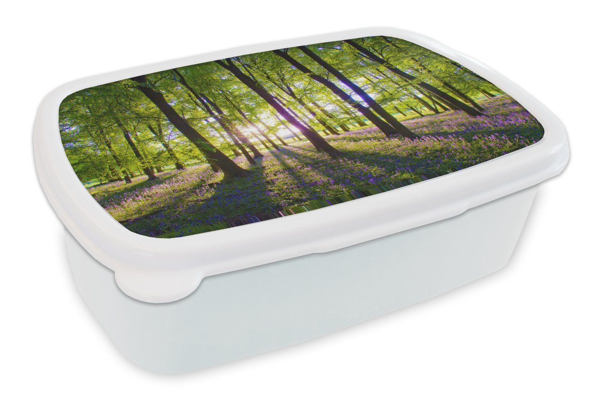 MuchoWow Lunchbox Sonnenstrahlen erhellen diesen Wald aus lila Sternhyazinthen, Kunststoff, (2-tlg), Brotbox für Kinder und Erwachsene, Brotdose, für Jungs und Mädchen weiß