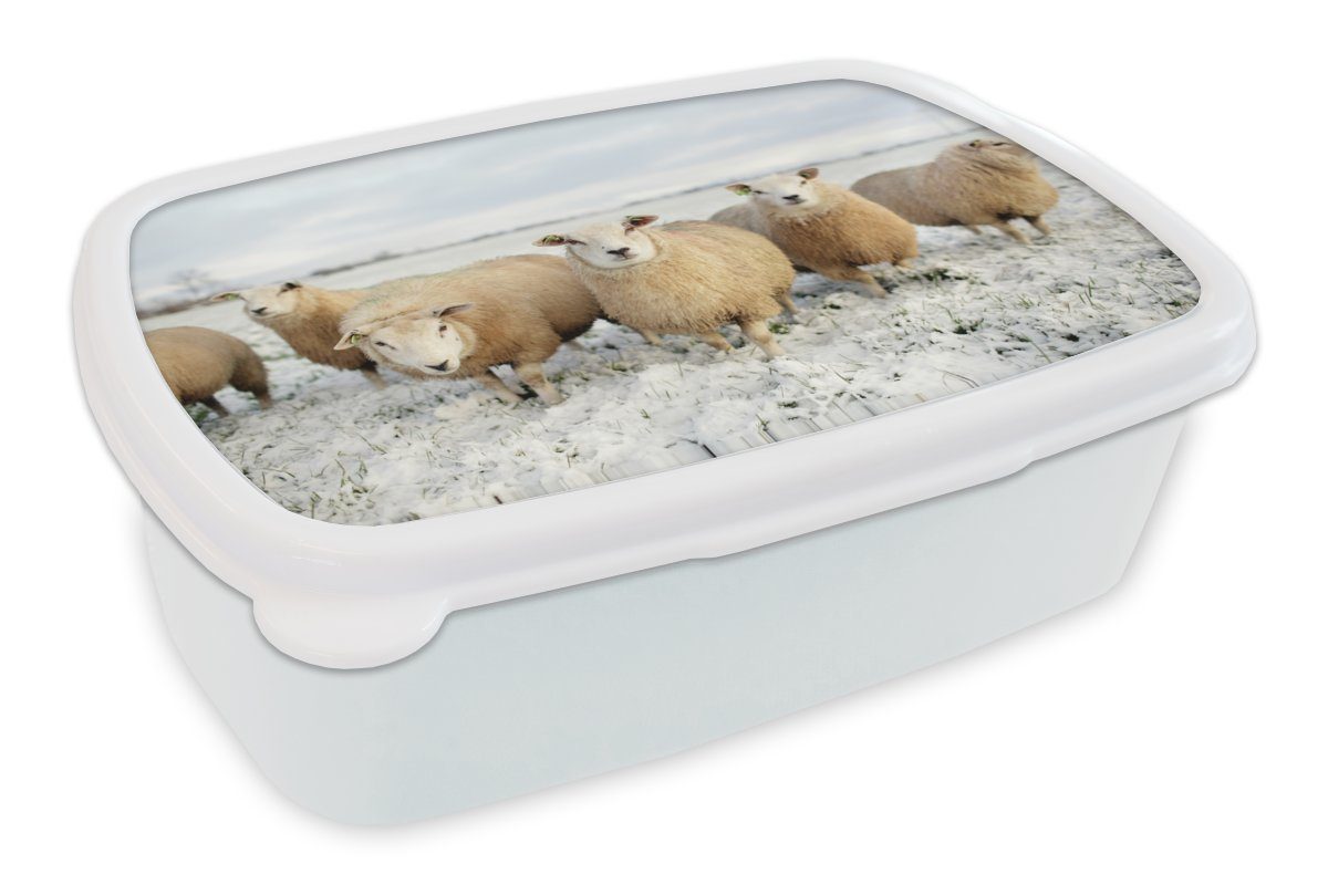 MuchoWow Lunchbox Gruppe von neugierigen Schafen, Kunststoff, (2-tlg), Brotbox für Kinder und Erwachsene, Brotdose, für Jungs und Mädchen weiß