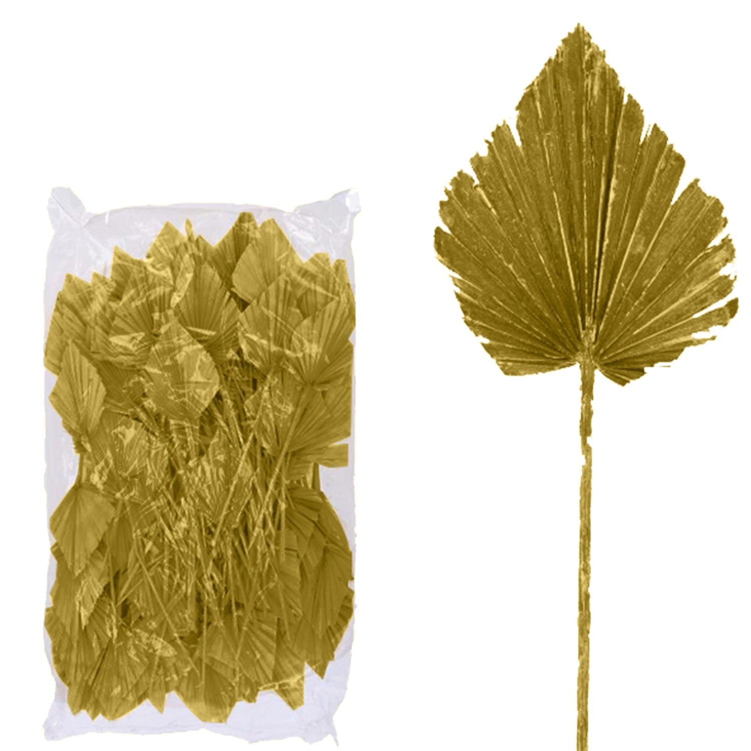 Palmspear groß - - Beutel Vosteen gold, Stück Trockenblume ind. 100