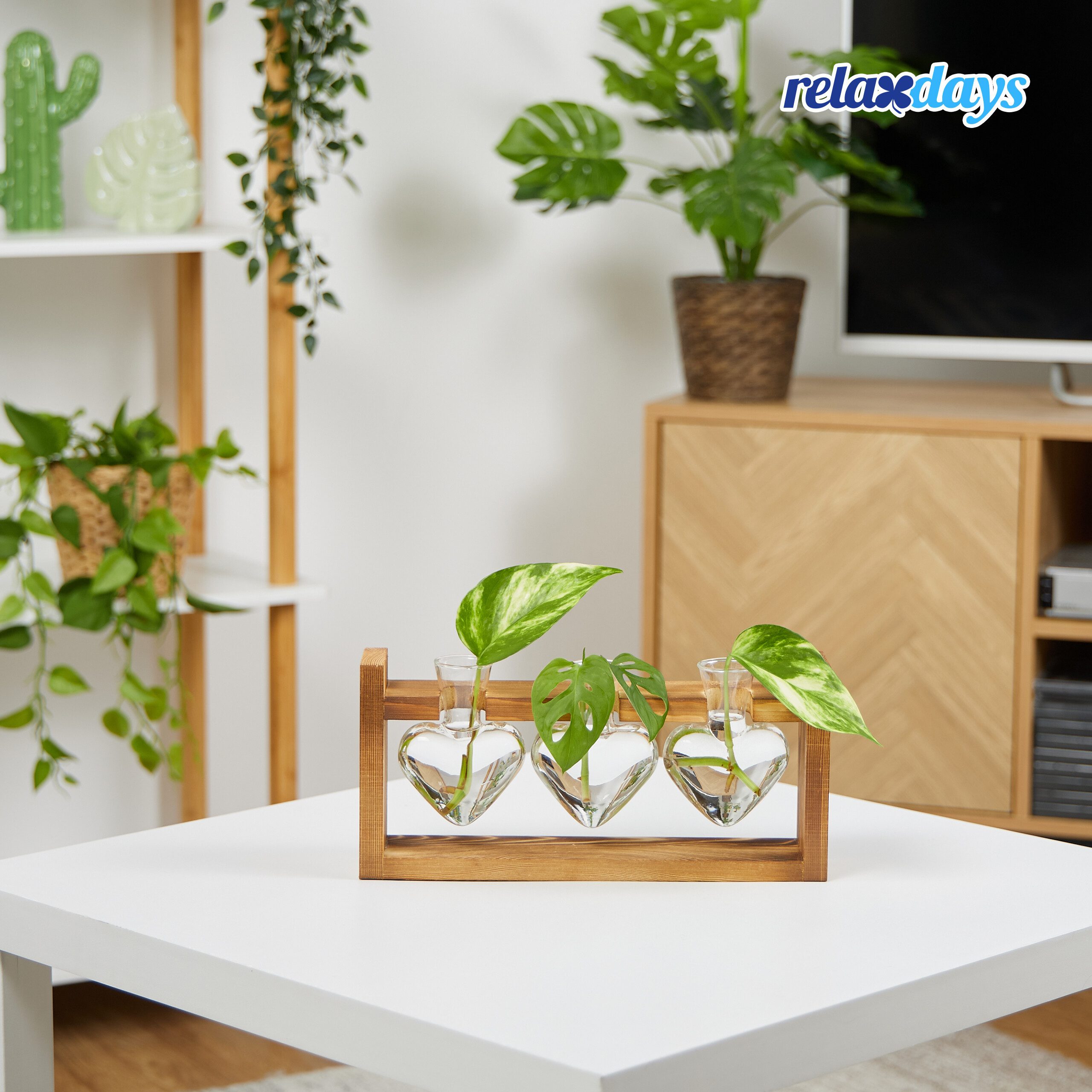relaxdays Dekovase Reagenzglas Vase mit Ständer, günstig online kaufen