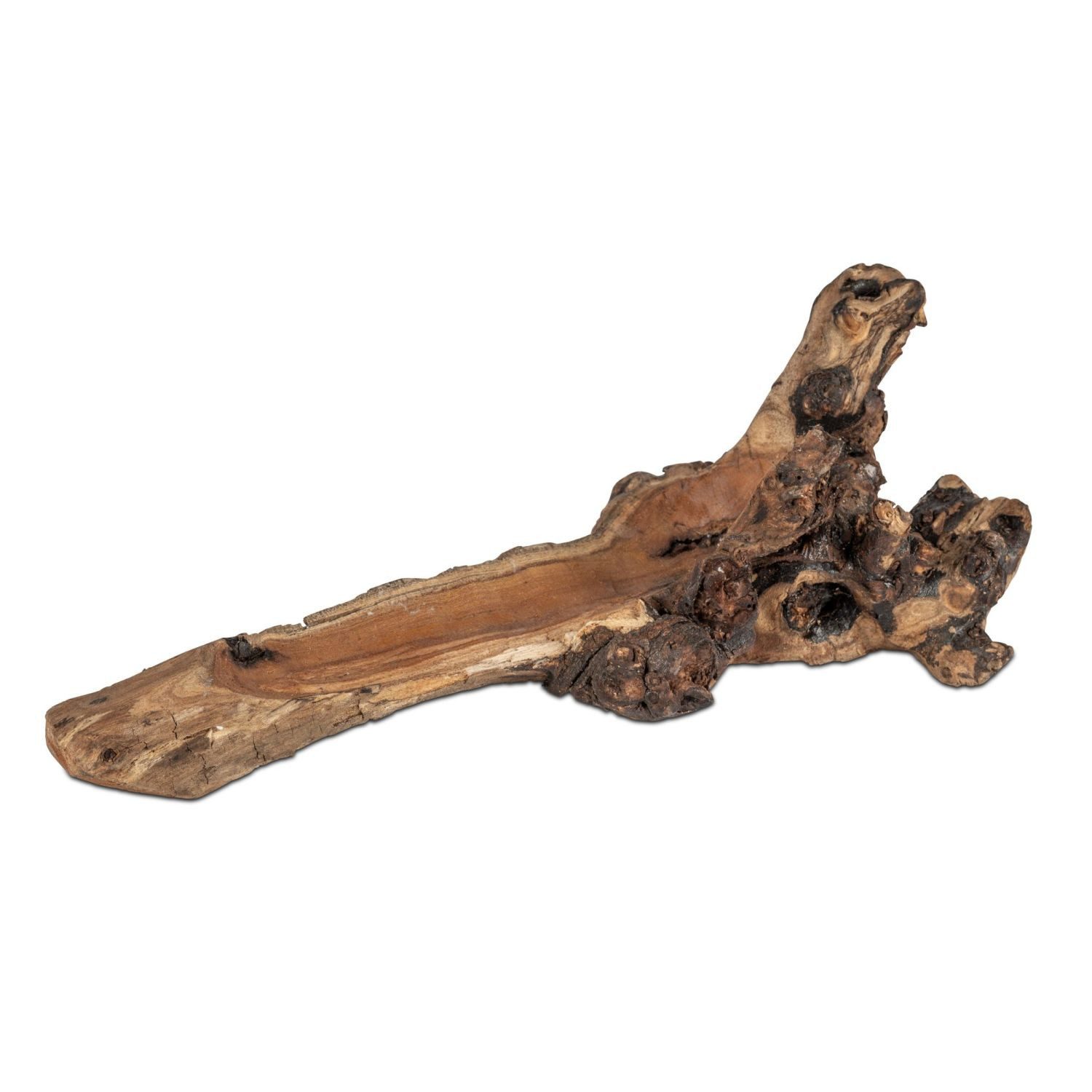 formano Skulptur Wurzel, Ablagefläche, Natur, Wurzel, H: 13cm