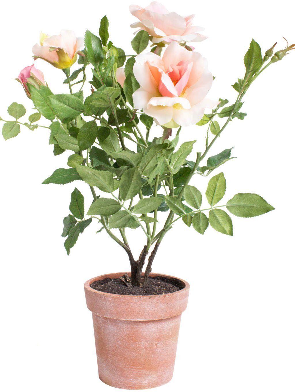 dekorativen Kunstblume ohne Höhe 46 Aufwand - zusätzlichen Botanic-Haus, Im Rosenstock Topf cm, Rose, aufstellen