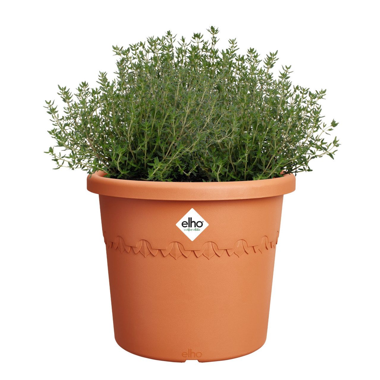 Pflanzkübel Elho Blumentopf Algarve Cilindro Ø 25 x 21 cm