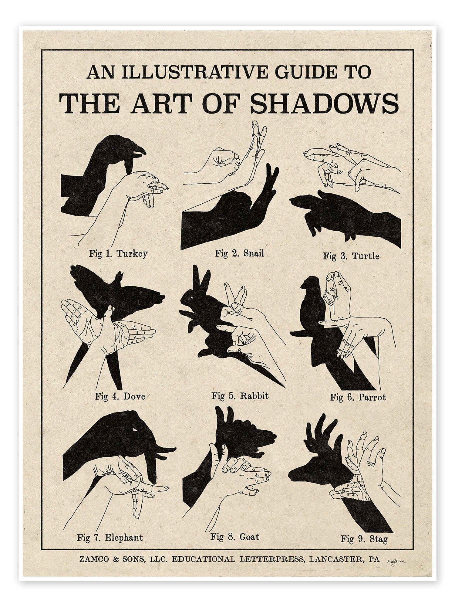 Posterlounge Wandbild Die Kunst der Schattenspiele günstig online kaufen