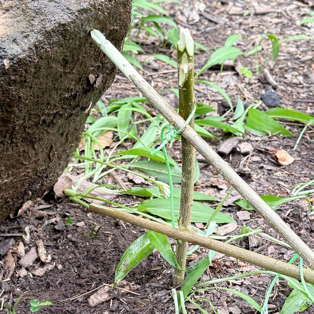 mydays Erlebnisgutschein Survival Training Raum Stuttgart (Jagd- und Fallenbau), Wildnis erleben Lernen wie Natur ueberleben