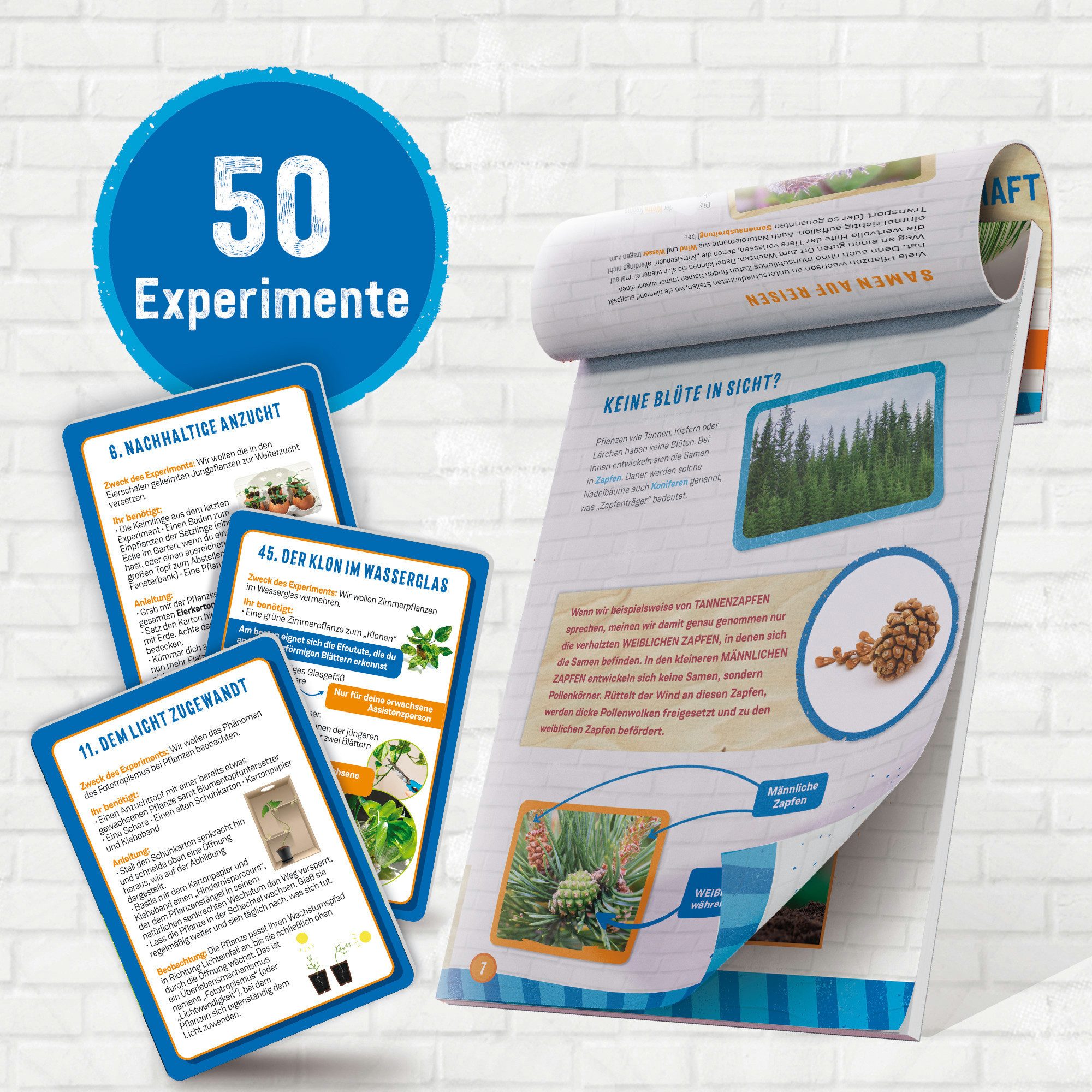 Lisciani Experimentierkasten Woozle Goozle Die Wissenschaft der Bäume