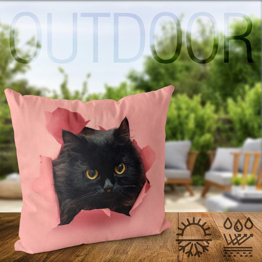 Kissenbezug, VOID (1 grau Kätzchen Kartäuser Tier Katze Schwarze Haustier Kissenbezug Katze Stück), Sofa-Kissen Scottish