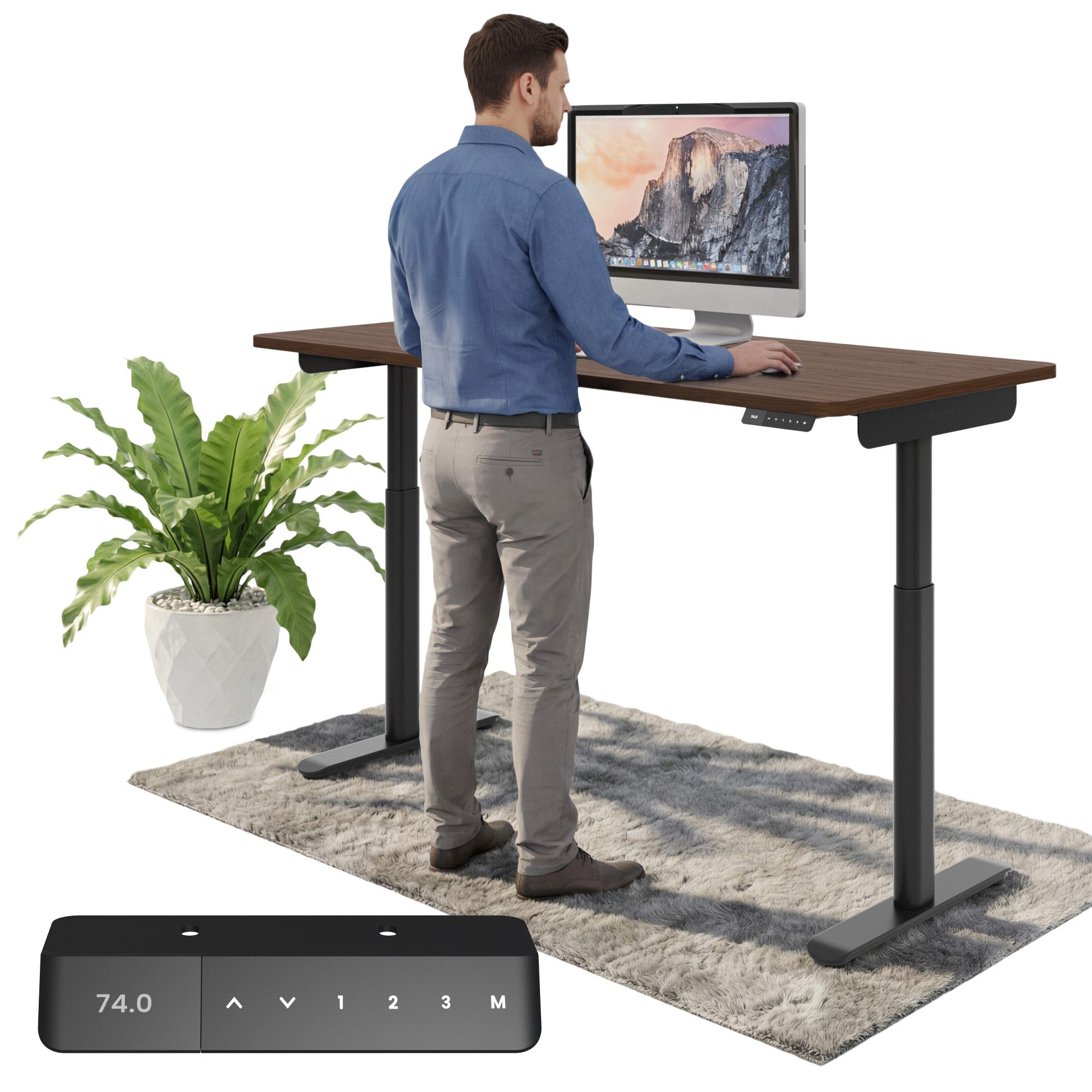 Ergotopia Schreibtisch Desktopia One (elektrisch höhenverstellbarer Schreibtisch)