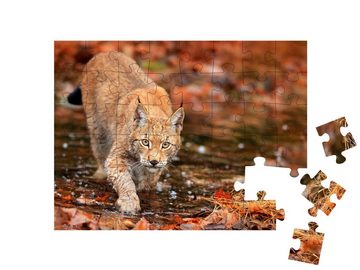 puzzleYOU Puzzle Luchs auf der Jagd im Herbstwald, 48 Puzzleteile, puzzleYOU-Kollektionen Luchse, Tiere in Wald & Gebirge