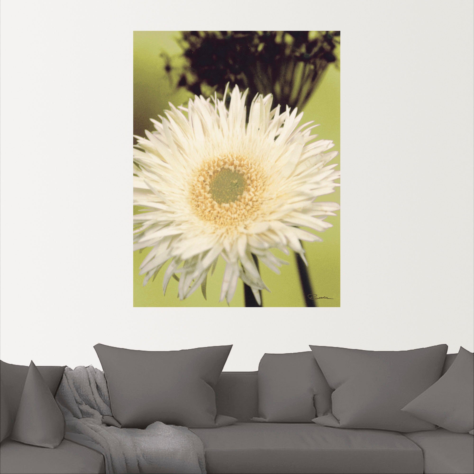 Artland Wandbild »Eine vor grün - Gerbera«, Blumenbilder (1 Stück), in vielen Größen & Produktarten - Alubild / Outdoorbild für den Außenbereich, Leinwandbild, Poster, Wandaufkleber / Wandtattoo auch für Badezimmer geeignet-kaufen