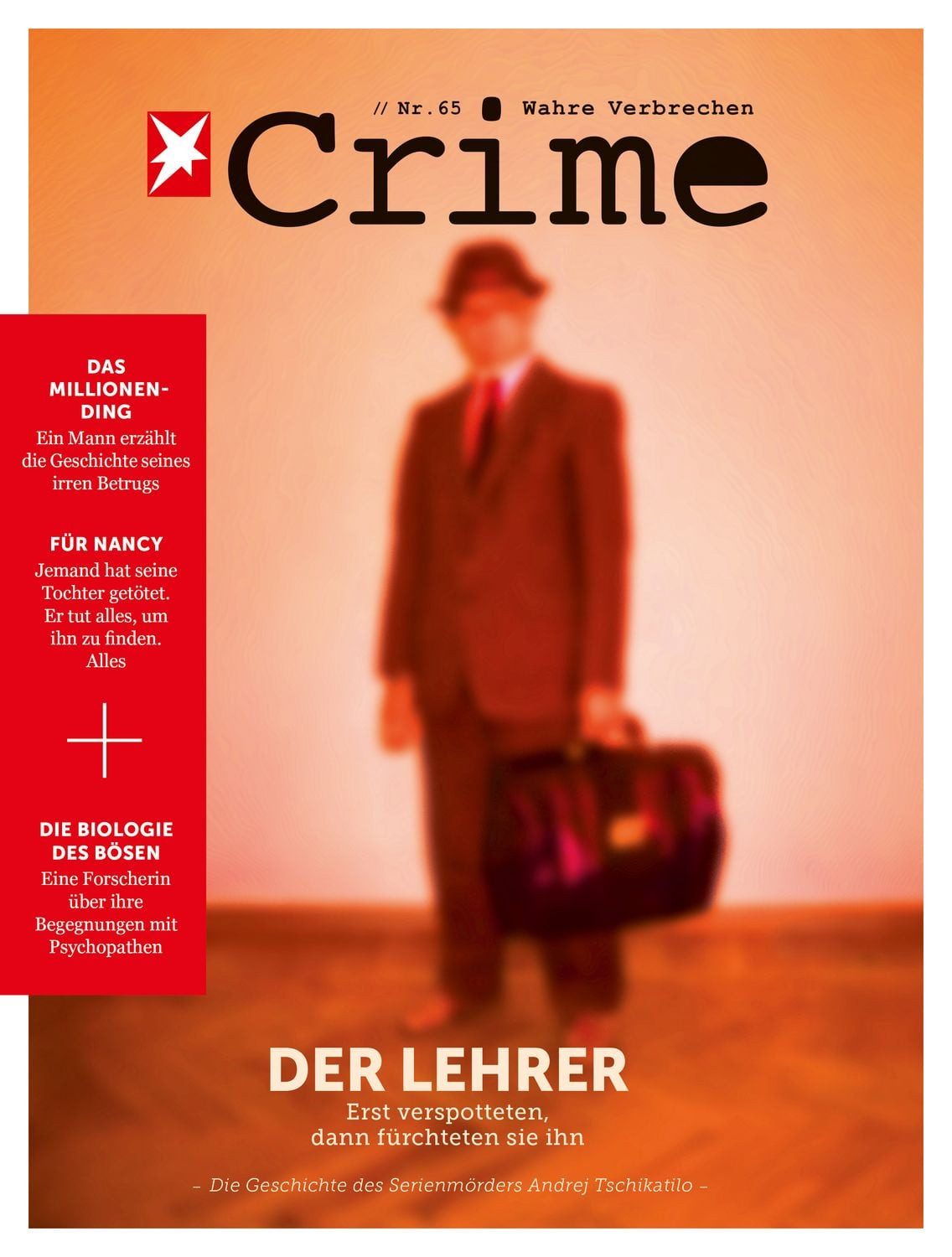 stern Crime - Wahre Verbrechen / diverse