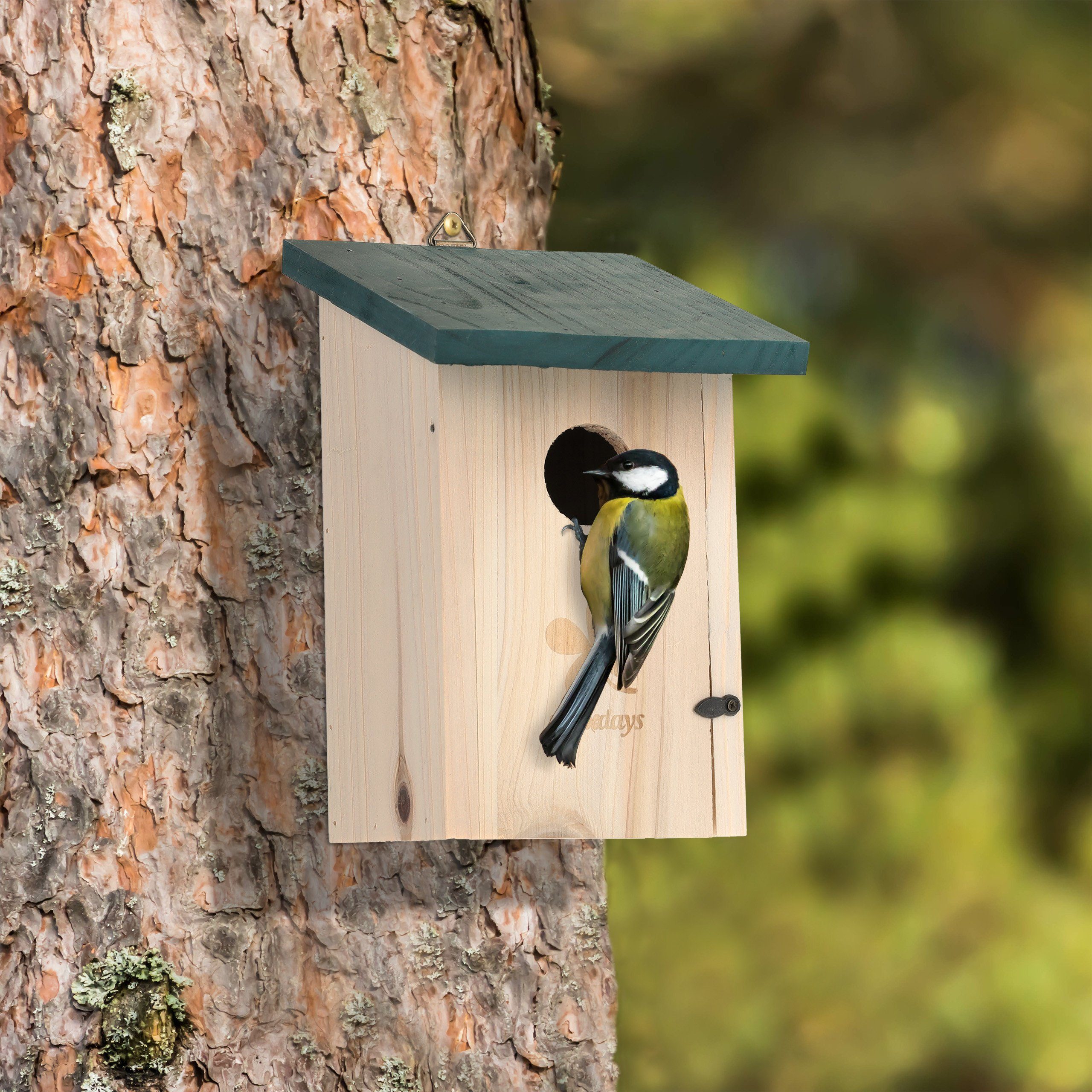 für relaxdays Nistkasten Vögel Vogelhaus