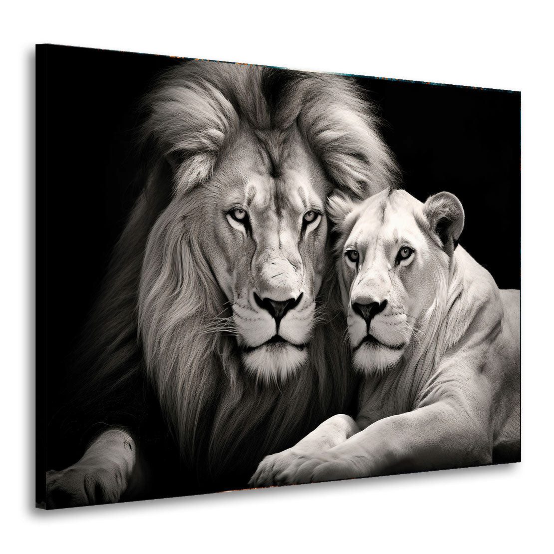 Artedinoi Leinwandbild Löwe und Löwin schwarz weis Leinwandbild Wandbild Kunstdruck XL Wandde