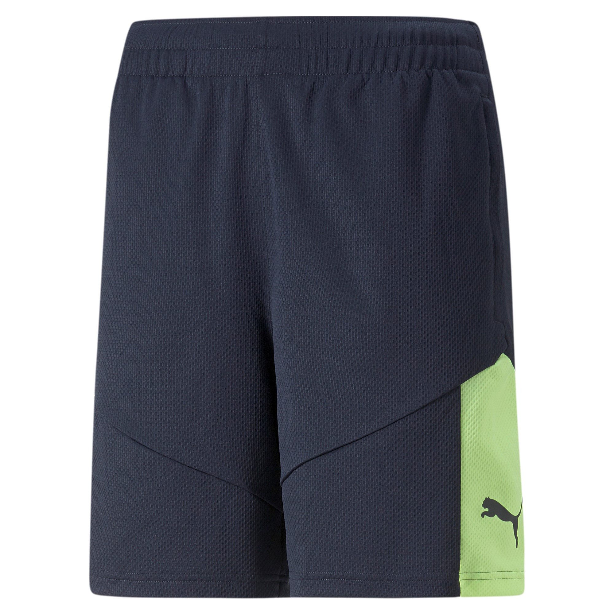 Trainingsshorts Puma Herren Short individualFINAL Training Shorts 658042